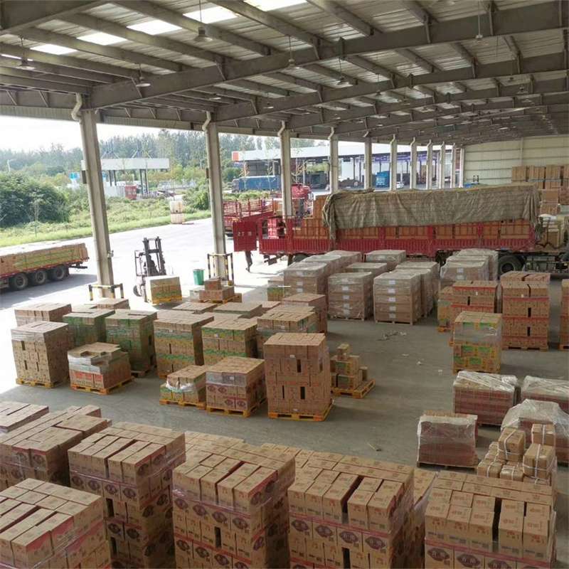 安宁区吉阳区物流：多元服务与运输线路探秘