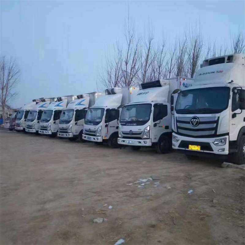 安宁区通道县物流：多元服务与高效运输探秘